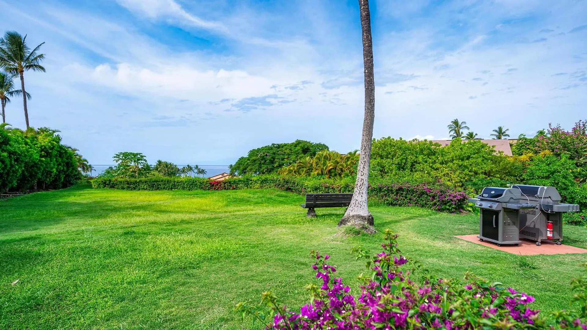 بيت للعطل فيلا Wailea Ekahi 4E
